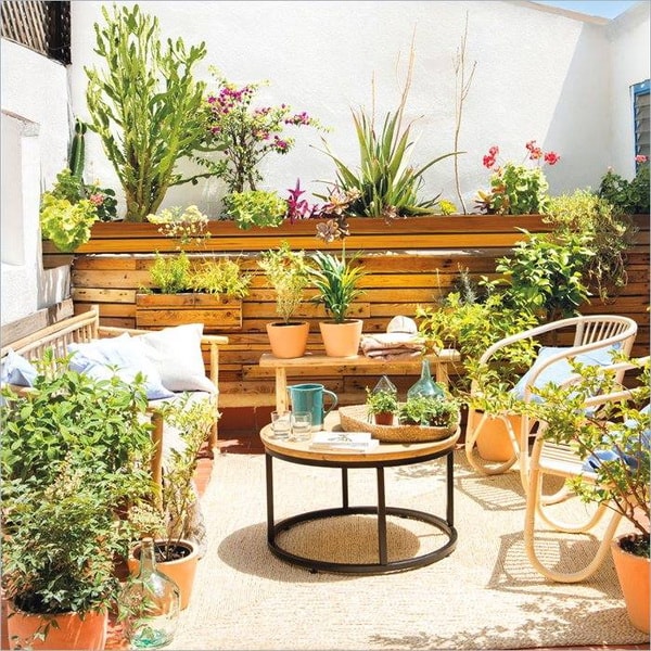 ▷ Plantas para terrazas: claves para escoger las más adecuadas