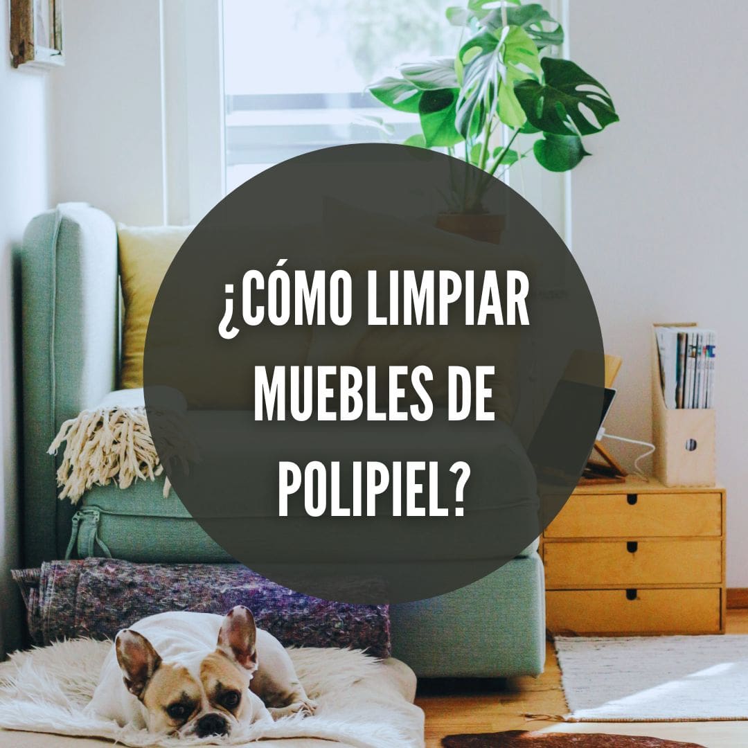 Cómo limpiar muebles de polipiel