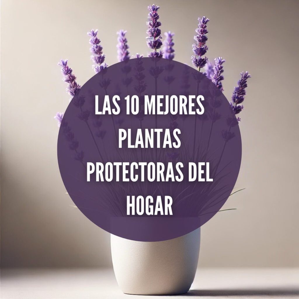 10 plantas protectoras del hogar